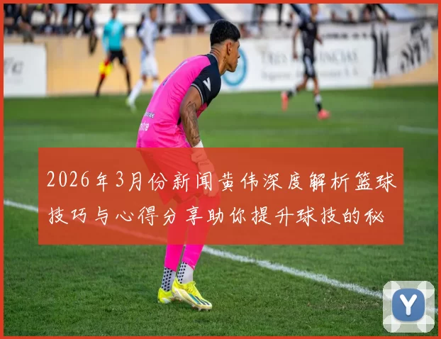 2026年3月份新闻黄伟深度解析篮球技巧与心得分享助你提升球技的秘密武器